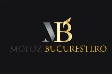 MolozBucuresti.ro - Transport moloz, mobila, debarasari locuinte